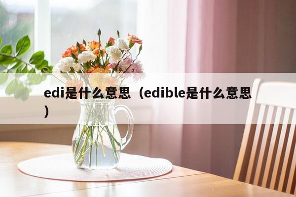 edi是什么意思（edible是什么意思）