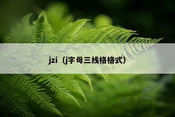 jzi（j字母三线格格式）