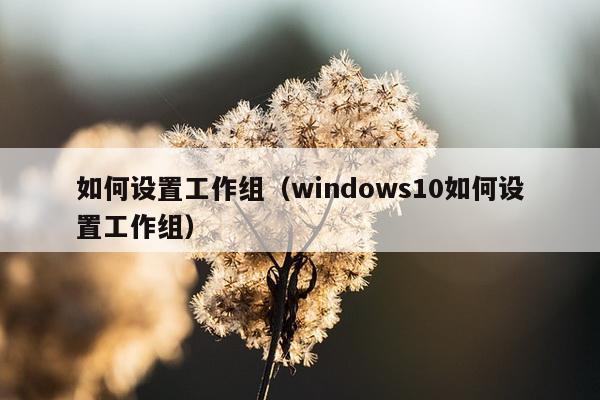 如何设置工作组（windows10如何设置工作组）