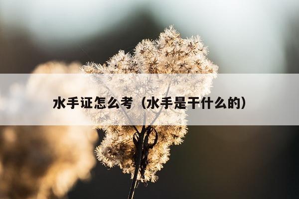 水手证怎么考（水手是干什么的）