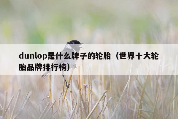 dunlop是什么牌子的轮胎（世界十大轮胎品牌排行榜）