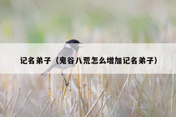 记名弟子（鬼谷八荒怎么增加记名弟子）