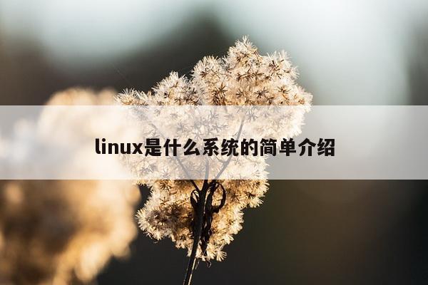 linux是什么系统的简单介绍