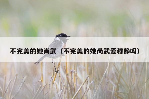 不完美的她尚武（不完美的她尚武爱穆静吗）