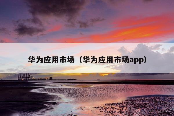 华为应用市场（华为应用市场app）