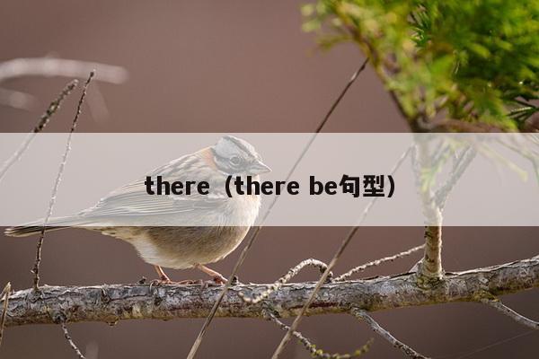 there（there be句型）