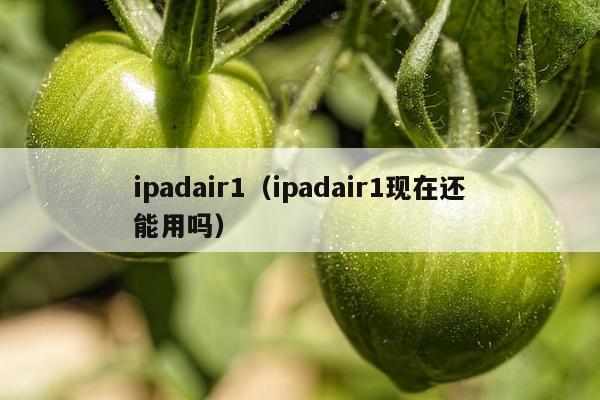 ipadair1（ipadair1现在还能用吗）