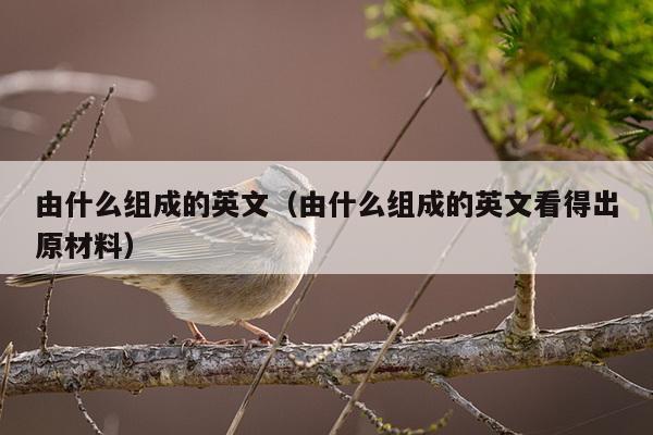 由什么组成的英文（由什么组成的英文看得出原材料）