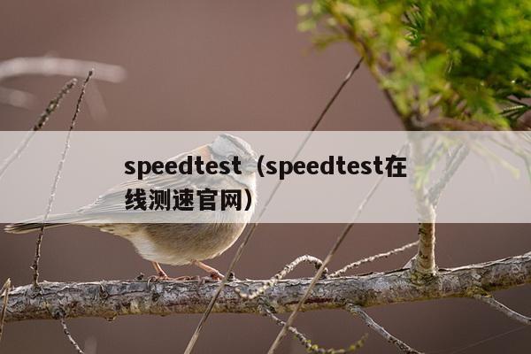 speedtest（speedtest在线测速官网）