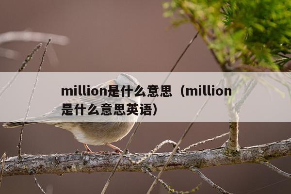 million是什么意思（million是什么意思英语）