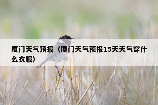 厦门天气预报（厦门天气预报15天天气穿什么衣服）