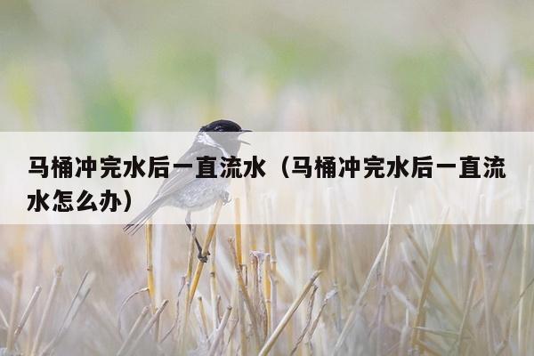 马桶冲完水后一直流水（马桶冲完水后一直流水怎么办）