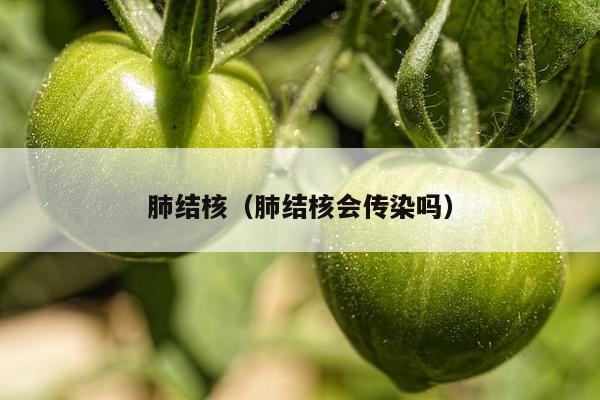 肺结核（肺结核会传染吗）