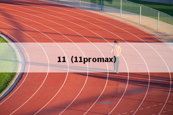 11（11promax）