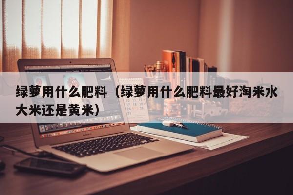 绿萝用什么肥料（绿萝用什么肥料最好淘米水大米还是黄米）