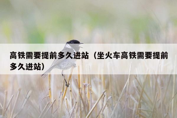 高铁需要提前多久进站（坐火车高铁需要提前多久进站）