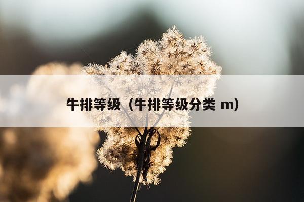 牛排等级（牛排等级分类 m）