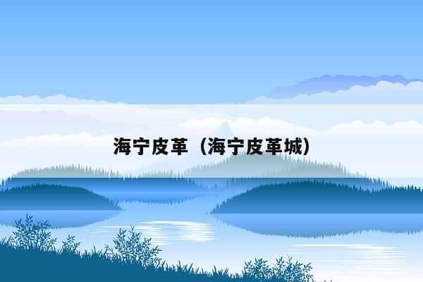 海宁皮革（海宁皮革城）