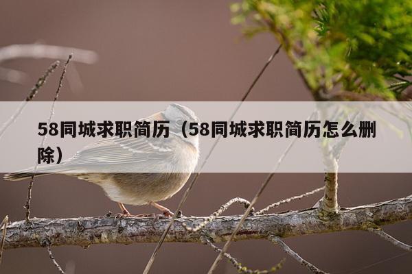 58同城求职简历（58同城求职简历怎么删除）