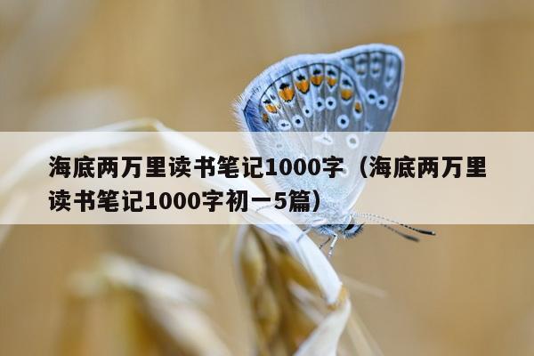 海底两万里读书笔记1000字（海底两万里读书笔记1000字初一5篇）