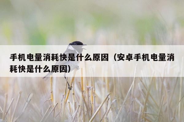 手机电量消耗快是什么原因（安卓手机电量消耗快是什么原因）