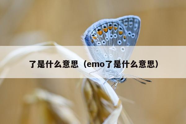 了是什么意思（emo了是什么意思）