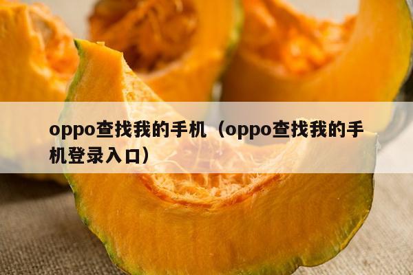 oppo查找我的手机（oppo查找我的手机登录入口）