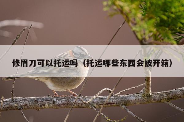 修眉刀可以托运吗（托运哪些东西会被开箱）