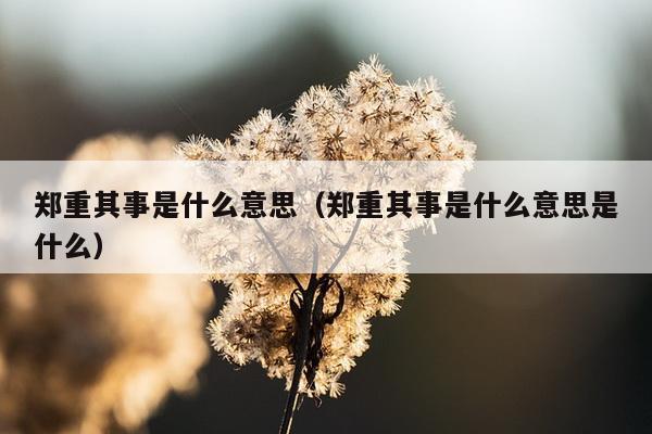 郑重其事是什么意思（郑重其事是什么意思是什么）