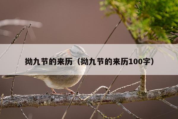 拗九节的来历（拗九节的来历100字）