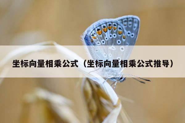 坐标向量相乘公式（坐标向量相乘公式推导）