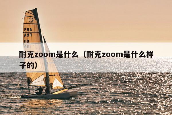 耐克zoom是什么（耐克zoom是什么样子的）