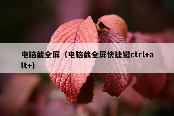 电脑截全屏（电脑截全屏快捷键ctrl+alt+）