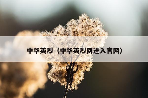 中华英烈（中华英烈网进入官网）