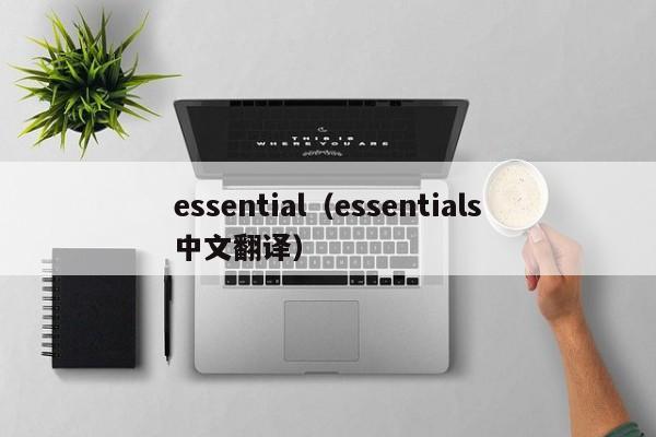 essential（essentials中文翻译）