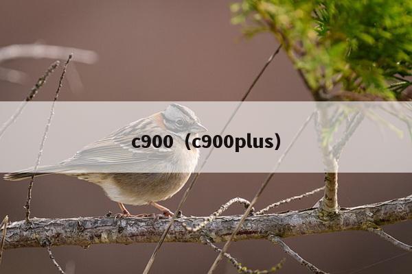 c900（c900plus）