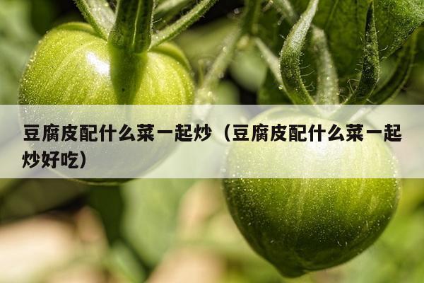 豆腐皮配什么菜一起炒（豆腐皮配什么菜一起炒好吃）