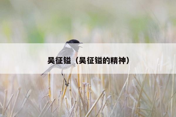 吴征镒（吴征镒的精神）