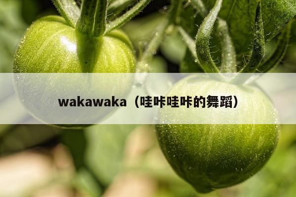 wakawaka（哇咔哇咔的舞蹈）