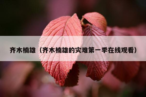 齐木楠雄（齐木楠雄的灾难第一季在线观看）