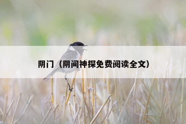 阴门（阴间神探免费阅读全文）