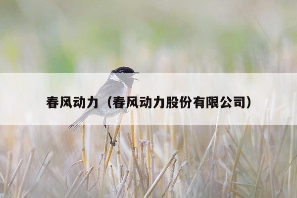 春风动力（春风动力股份有限公司）