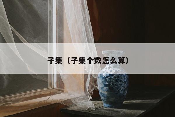 子集（子集个数怎么算）