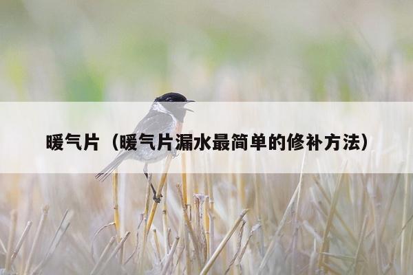 暖气片（暖气片漏水最简单的修补方法）