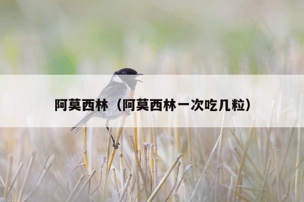 阿莫西林（阿莫西林一次吃几粒）