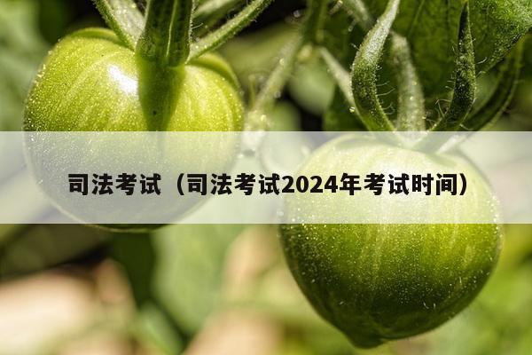 司法考试（司法考试2024年考试时间）