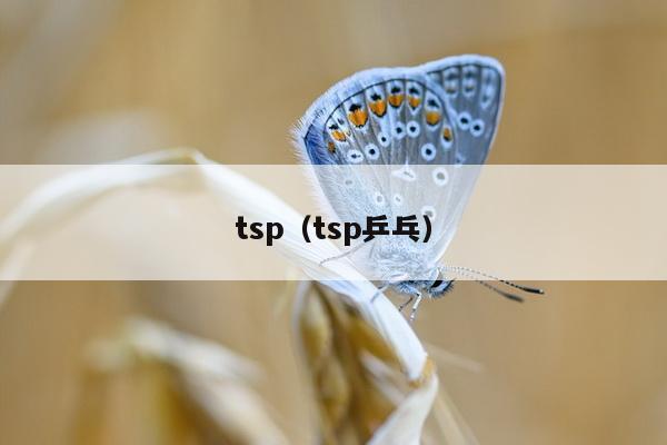 tsp（tsp乒乓）