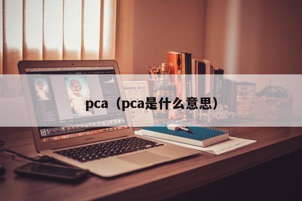 pca（pca是什么意思）