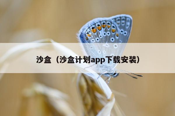 沙盒（沙盒计划app下载安装）