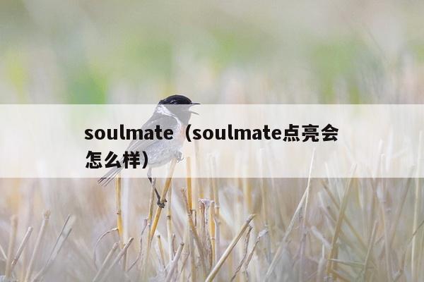 soulmate（soulmate点亮会怎么样）